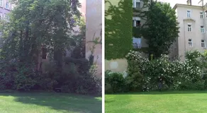 Garten Apartment Grunentorgasse - Image 4