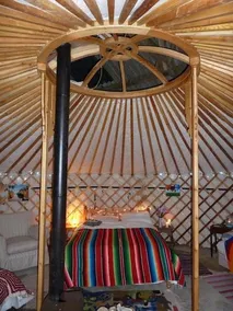 Koa Tree Camp - Image 2