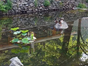 Bake Gongshe Hotel - Image 3