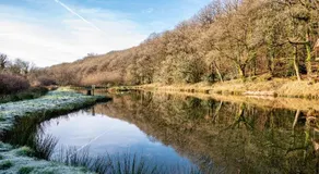 Finest Retreats - The Tree House - Eco-Friendly, Back To Nature Experience - Image 4