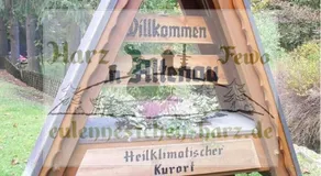 FeWo Eulennestchen-Harz - Image 3