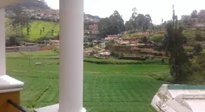 Rainbow Palace - Image 3