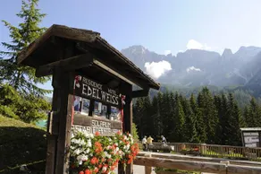 Residence Edelweiss - Image 4