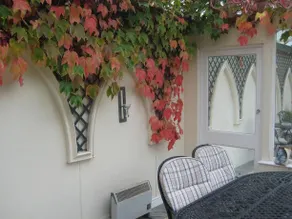 Altonlea Lodge Guest House - Image 4