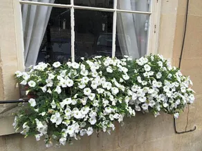 No 4 Ainslie's Belvedere B&B - Image 5