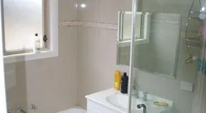 The Hakeas - Image 2
