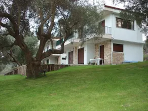 Oliveto - Image 2