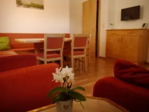 Ferienhaus Salcher - Image 3