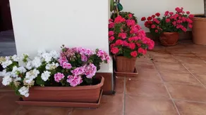 Atico Latina - Image 3