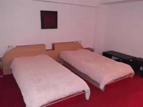 Hotel Regina Noptii - Image 5