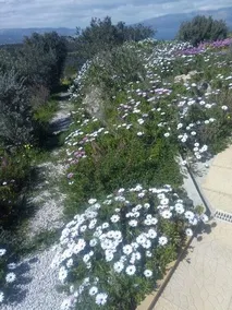 Terramara - Image 5
