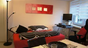 Studio-Appartment Horgen - Image 5