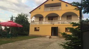 Lisa's Villa in Chakvi - Image 5