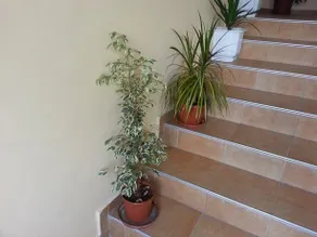 Guest House Friends Varna - Image 4