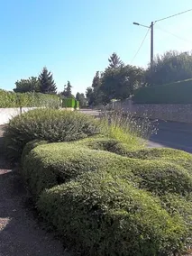 Les Saugeys - Image 4