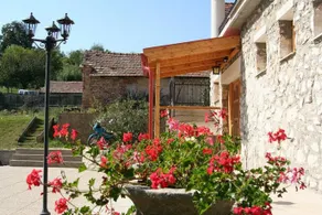 Erzsebet Vendeghaz - Image 5