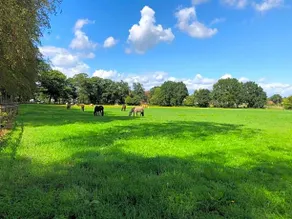 Boerderij De Enkhoeve - Image 2