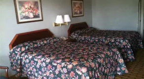 Daynite Inn - Image 5