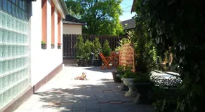 Rita Panzió - Image 5