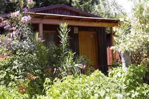 Arriba - Image 5