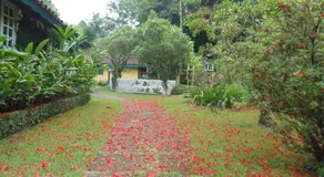 Repousada Sana - Image 3