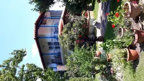Sophia's House - Image 2