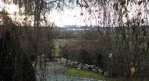 Die Maria - Image 3
