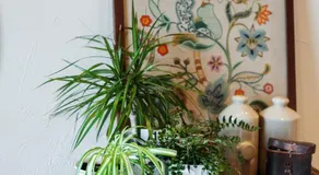 The Potting Shed - Image 5