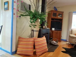 Truemans Guest House - Image 3