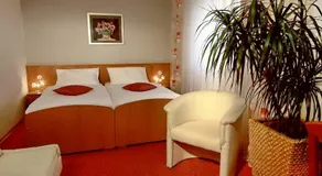 Hotel Drava - Image 4
