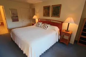 Stowe Mountainside Condo 3 Bedrooms 2 Bathrooms Condo - Image 5