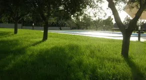 Pool Premium Apartment - Image 2