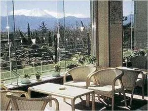 hot spring of 11 kinds of in hotel who night view of Kofu - Image 2