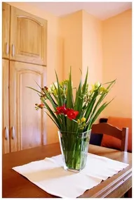 Apartments Mirkec - Image 3