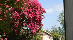 Burton Hall Self Catering - Image 3