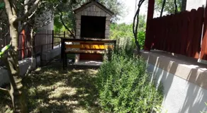 Country house Mia - Image 4