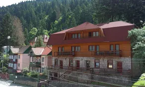 Fenyo Villa Bradul - Image 2