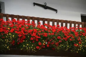 Ferienwohnungen Hebesberger - Image 4