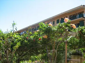 Terrazza Mimosa - Image 5