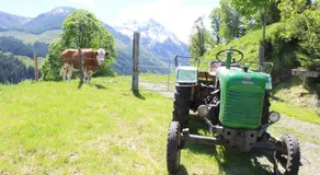Zauneralm - Image 4