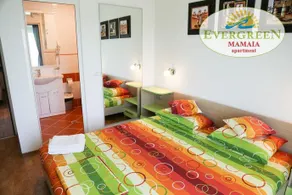 Evergreen Vlas Mamaia Sud - Image 4