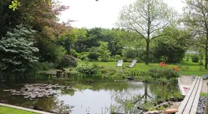 Weeze - Image 2