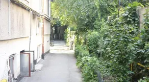 Friendy Studio - Image 5