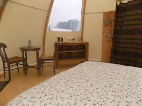 La Chouette Etoilée - Image 2