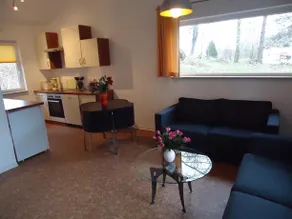 Ferienhäuser Seewiesen - Image 4