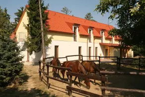 Bólyi Gyógylovas Vendégház - Image 4