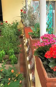 Casa Di Nonna - Image 3
