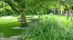 Suzanne´s Bed & Breakfast - Image 5