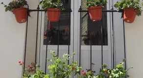 Casa En La Plaza - Image 2