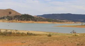 ROOS @ DOON Bonnie Doon - Image 2